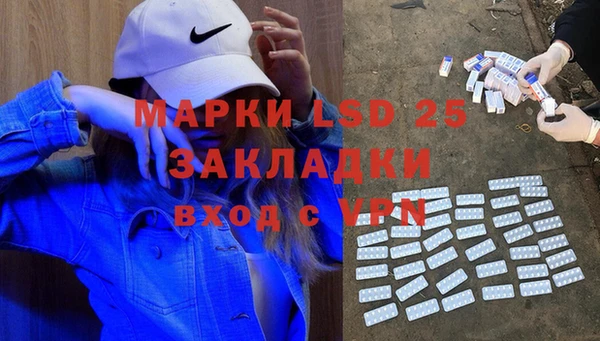 ПСИЛОЦИБИНОВЫЕ ГРИБЫ Бородино