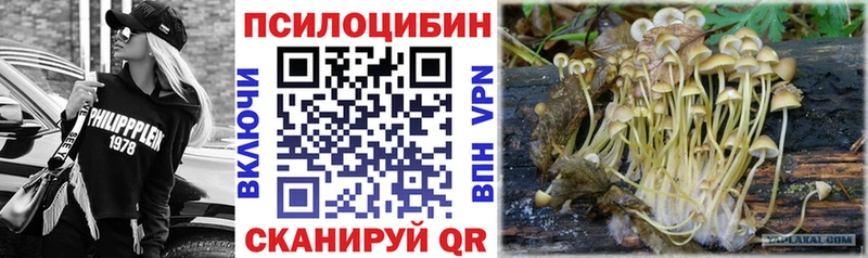 Галлюциногенные грибы мицелий  Озёрск 